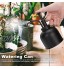 Vaporisateur Arrosoir Mini vaporisateur de brume pour plantes à pression portable Arrosoir Vintage Plant Spritzer pour plante en pot d'intérieur jardin extérieur petite plante noir 300 ml