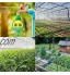 BESEN Contrôleur d'irrigation de jardin Minuteur d'arrosage automatique Alimentation par piles Pression d'eau réglable Pour jardin légumes pelouse ferme