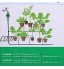 Minuterie d'irrigation minuterie de Tuyau Robinet de Jardin numérique minuterie d'eau contrôleur de minuterie d'arrosage programmable pour système d'irrigation Automatique