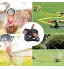 Arroseur de Jardin | Arroseur de Pelouse Automatique 360 ​​Rotatif Réglable Jardin Arroseur pour arroser Les Plantes ou Jouer en Plein air d'été