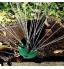 Arroseur de pelouse Hangang Arroseur réglable Système d'irrigation à bras rotatif