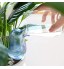 2 Pièces Dispositifs D'Arrosage Automatique Irrigation Goutte à Goutte Kit,Abreuvoir en Plastique Transparent en Forme d'oiseau Arroseurs automatiques pour Jardin Maison Intérieur Extérieur