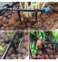 25M Kit Arrosage Goutte à Goutte Système d'irrigation Automatique de Jardin DIY pour Jardin Serre Potager Paysage et Pelouse 25M