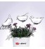 5LOT Arrosage Automatique En Verre Abreuvoir De Plantes Globes En Forme D'oiseau Transparent Pour Plantes D'intérieur Jardin Stakes Fleurs