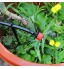BETESSIN 200pcs Goutteur Irrigation Réglable+Tee Joint de Tuyau Système D'arrosage Automatique Goutte à Goutte Micro Gicleurs Drippers pour Plante Serre DIY Jardin
