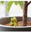 COM-FOUR® 4x arrosage automatique pour plantes d'intérieures distributeur d'eau pour plantes cône d'argile pour l'irrigation des fleurs 04 pièces motifs mix 3