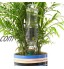 HIMM Arrosage automatique pour plantes en céramique avec pics d'arrosage automatique pour fleurs et goutte-à-goutte système d'arrosage pour intérieur et extérieur 8 pièces.