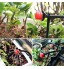 munloo Système D'irrigation De Jardin Kit D'irrigation Goutte à Goutte Automatique De 30 M Irrigation De Plantes De Serre De Jardin