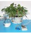WayinTop Kit d'arrosage Automatique pour Arduino DIY Sol Détection D'Humidité + 5V 1 Canal Relais Module + Mini Micro Pompes à Eau Submersibles + 1M Tuyau Transparent pour Jardin Plante Fleur