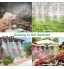 XDDIAS 24m Brumisateur Exterieur Kit D'irrigation Goutte Jardin Brumisation Refroidissement Système D'arrosage pour Terrasse Bricolage Serre（30 Buse）