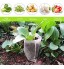 ANSUG Lot de 300 Sac Biodégradable Non-tissé pour Semis Sacs de Pépinière avec des Gants pour semis de Jardin Domestique Fleur Plante 3 Tailles