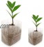 BoBoHome 1000 Pièces Biodégradable Non-Tissé Tissu Pépinière Plante Grandir Sacs Semis De Plus en Plus Planteur Pots De Plantation 8X12Cm