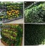 Homeriy 4 Poches verticaux Suspendus Suspendus au Mur Plantes de Jardin Sacs de Culture légumes Fleurs planteur pour Herbes légumes Fleurs Jardin intérieur extérieur Vert