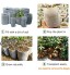 Housolution Sacs de Semis [400PCS] Sacs Biodégradables Non-Tissé de Pépinière pour Plante Cultiver de Maison Jardin Écologique Blanc