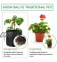 KinHwa Sacs à Plantes Tissu Non tissé Plant Growing Respirant Sac avec Poignées pour Jardin Maison 10 gallons Lot de 5