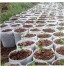 Non-tissé sac usine Seedling 600 Pcs pépinière Sac gros Biodégradable usine les sacs de culture Tissu Pots Plantes Seedling Arbre Pouch Coupe Container Plantation Sac pour jardin d'alimentation