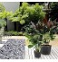 PrimeMatik Sac jardinière pour Plantes en Croissance Pot de Tissu de 40 litres 38x30cm 5-Pack