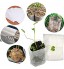 Yagosodee Pots de Semis Sacs de Plantation de Plantes Non Tissées Biodégradables Sacs de Culture Fournitures de Jardinage 100 Pièces
