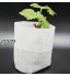 Yagosodee Pots de Semis Sacs de Plantation de Plantes Non Tissées Biodégradables Sacs de Culture Fournitures de Jardinage 100 Pièces