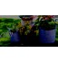 ZENAKIO Lot de 5 Sac de Plantation 10L Noir en Tissu Non Tissé Sac Jardin Résistants Réutilisables et Respirants avec Poignées pour Potager Interieur ou Jardinieres Exterieur