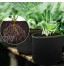 ZJW Sac de Plantation en Tissu Non-tissé réutilisable pour Plantes tomates patate et Fraises 5pcs