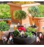 7 Pièces Statues de Gnomes de Fée en Résine Miniature Statue de Mini GNOME de Jardin de Fées pour Décoration de Table et Jardin pour Vacances et Festival Parents Amis et Enfants