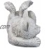 Design Toscano Mémorial Chat Pet Ange Statue Honorifique Pierre Tombale 25.5 cm polyrésine pierre antique