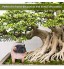 HERCHR Statue de Jardin de Cochon résine Figurine Animale Sculpture pelouse Ornements décor