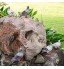 IFEVER Sculpture en résine en forme de colombe Décoration d'extérieur pour patio cour jardin Couleur : blanc