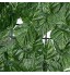 Clôture de lierre artificiel Clôture de lierre artificiel Clôture de feuilles vertes Toile de fond décorative pour la protection de l'intimité Pour la maison le balcon le jardin 0,5 x 3 m