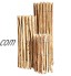 Clôture déroulable en bois de noisetier dans 13 tailles 120 x 500 cm  Lattenabstand 3-5 cm  naturel
