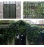 lpzsmd Plantes Artificielles Clôtures Clôtures décoratives Écran de confidentialité de Jardin extérieur Feuille de clôture Extensible Couverture de Jardin en Bois Écran de clôture de confidentialit