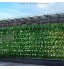 POHOVE Clôture de lierre artificiel de 3 x 0,5 m Haie artificielle pour la vie privée Haie de feuilles Décoration pour jardin extérieur