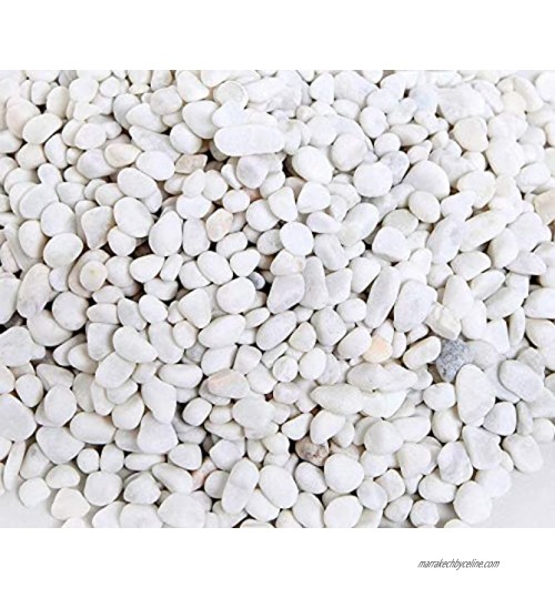 Ksnnrsng 1 kg Gravier Décoratif Blanc de Pierres Décoratives pour Vases Cailloux Décoratifs Environ Gravier Blanc pour Pots de Fleurs,Plantes Aquarium Décors Blanc 1 kg