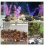 Mdurian Cailloux Naturel Poli Gravier décoratif Pierres de Roche de rivière pour Pot de Fleurs Jardin Mariage Maison Vase Aquarium 40-60mm 1KG Noir