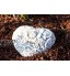 Pierre tombale Décoration de jardin Cœur Motif vrille en pierre le gel et aux intempéries jusqu'à -30 °C