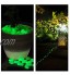 Relaxdays Pierre Lumineuse 200 pièces Nuit Galets fluorescents pour Jardin Aquarium vases Cailloux déco Vert Lot