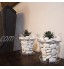 Teraplast Pierres décoratives pour vases jardins et aquariums en plastique recyclé 3 paquets couleur blanc