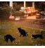 anzihuanxi Piquets en métal de Jardin de Chat Panneaux de Jardin de Silhouette de Chat Noir avec des piquets pour la Cour décor de Jardin décorations extérieures de Patio de pelouse d'animaux B