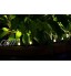 dobar 40015 Lot de 5 Anneaux LED pour Bordure de Plantes avec Panneau Solaire Noir