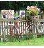 FFFPANDA Jardin Lavande Plaque en Métal Fleur Ferme Étain Signes Plaque Belles Fleurs Mur Art Maison Jardin Décoration 20x30cm 17