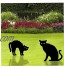 Froiny 3pcs Joue décoratif de Chat pieu de Silhouette de Chat Noir pour Yards pelouse Trottoir extérieur Jardinage fête fête Art Cadeaux
