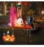 Halloween Signes de Pieu de Jardin Décorations Extérieures Panneaux avec Bâtons,3 Pièces Fantôme Citrouille Squelette Panneau Signalisation Avertissement Enjeux Pelouse Accessoires pour Vacances Fête