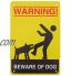 M I A Lot de 2 panneaux d'avertissement « Beware of Dog » en fer blanc pour clôture cour porte pelouse 30 x 20 cm