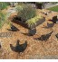 Monifuon Piquets de jardin en acrylique en forme de poulet noir pour décoration de jardin