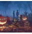 TOYANDONA 7 Pcs Spooky Étanche Durable Halloween Yard Signes Tuteurs De Jardin pour Parc Extérieur Jardin Pelouse Décoration De Fête