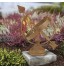 EASYmaxx Garden Decoration Rust Look Sundial | Weatherproof Peut être placé presque partout |Ø ca. 26 cm & Height ca. 30 cm [metal in rust look]