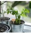 AIEX 30 Pièces Étiquettes De Plantes en Bambou Marqueurs De Plantes Décoratifs De Type t Étiquette De Jardin en Bois avec Un Stylo pour Graines De Jardin en Pot Herbes Fleurs Légumes