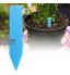 Jenngaoo 100 Pièces Étiquettes en Plastique pour Plantes Marqueurs Plantes Imperméablesétiquettes Jardin Pépinière Étiquettes Pieu Jardin Pot Marque Pieu 5x1cmBleu