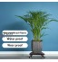 Skelang Chariot pour plantes 30cm porte plante bois-plastique palette de plantes avec 4 roulettes de frein,pour déplacer des plantes en pot jardinière de terrasse